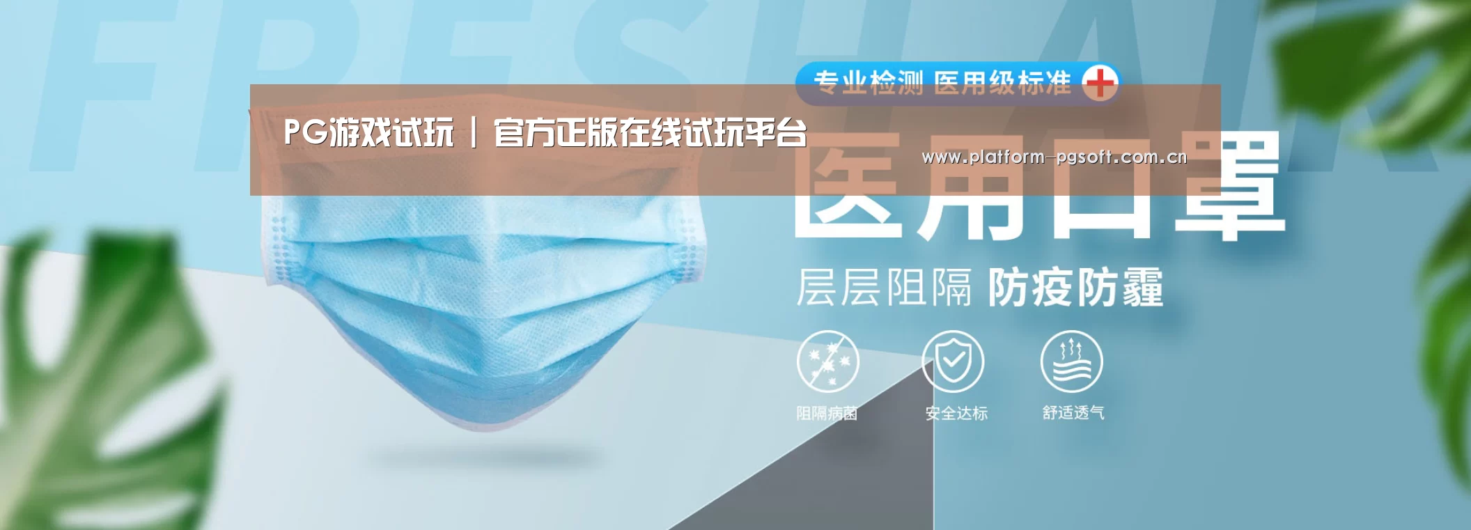 某某口罩防护用品有限公司