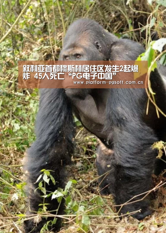 叙利亚首都穆斯林居住区发生2起爆炸 45人死亡“PG电子中国”