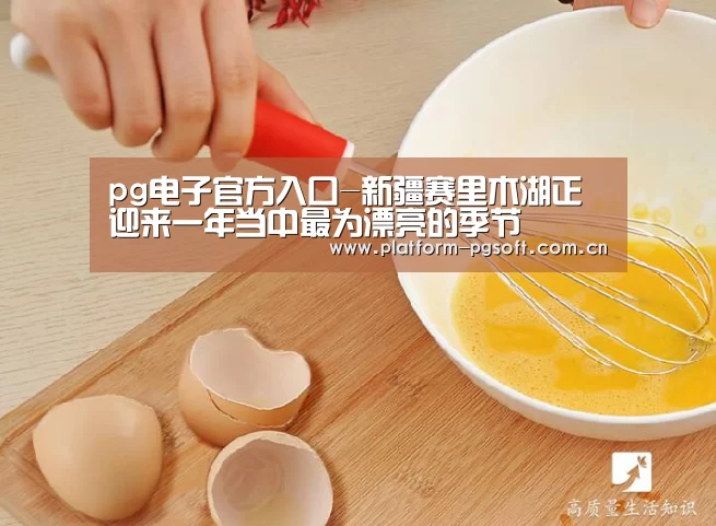 PG电子游戏