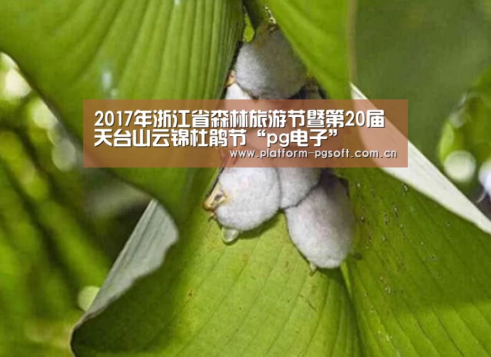 2017年浙江省森林旅游节暨第20届天台山云锦杜鹃节“pg电子”
