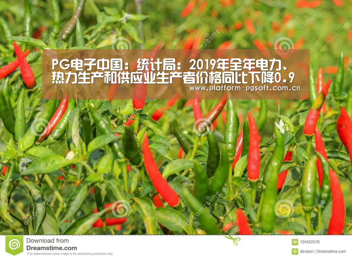 PG电子中国：统计局：2019年全年电力、热力生产和供应业生产者价格同比下降0.