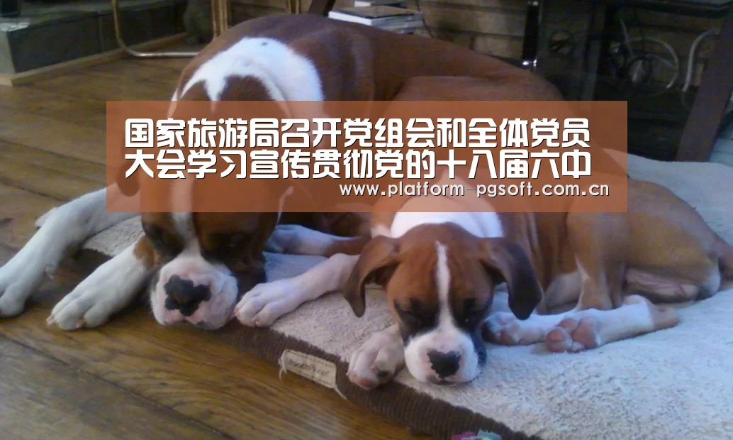 国家旅游局召开党组会和全体党员大会学习宣传贯彻党的十八届六中全会精神-PG电子游