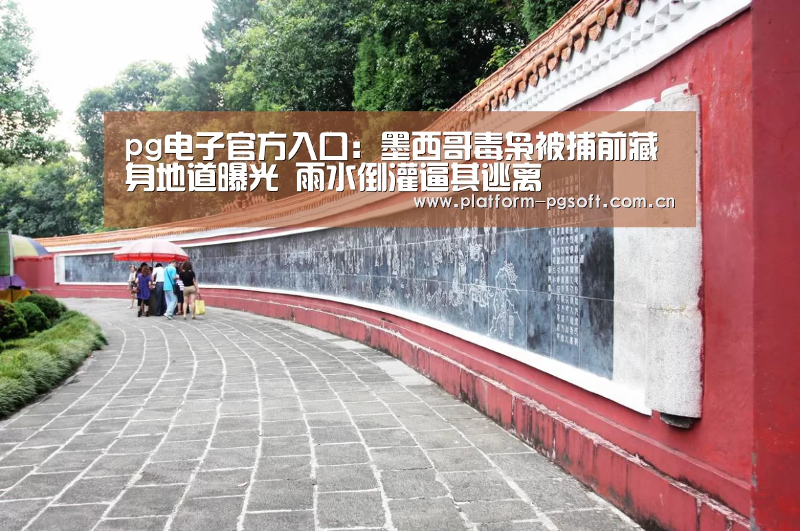 pg电子官方入口:墨西哥毒枭被捕前藏身地道曝光 雨水倒灌逼其逃离(图4) pg电子