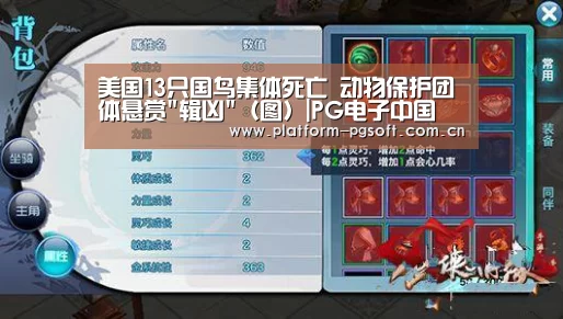 美国13只国鸟集体死亡 动物保护团体悬赏
