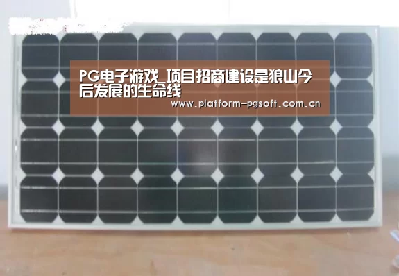 PG电子游戏_项目招商建设是狼山今后发展的生命线(图3) pg电子官方入口
