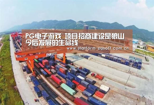 PG电子游戏_项目招商建设是狼山今后发展的生命线(图4) PG电子中国