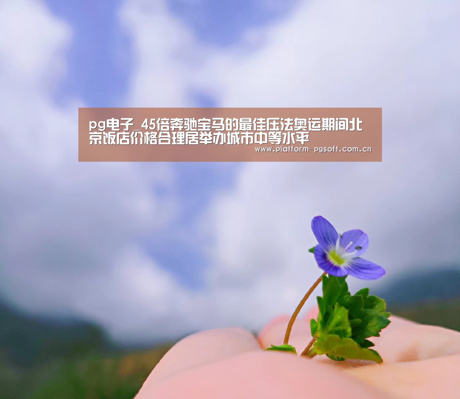 pg电子_45倍奔驰宝马的最佳压法奥运期间北京饭店价格合理居举办城市中等水平